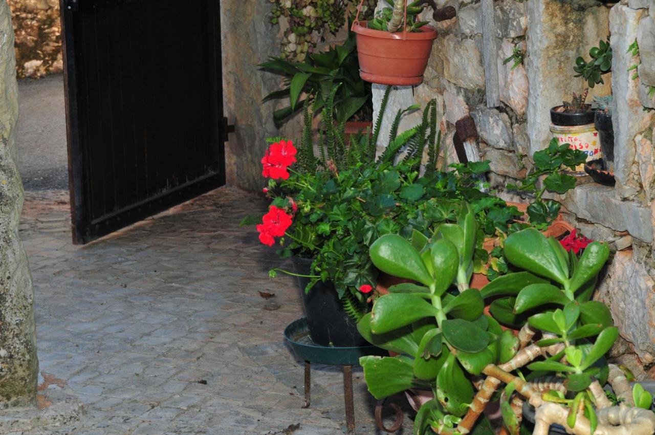 Quinta Das Eiras Penela Εξωτερικό φωτογραφία